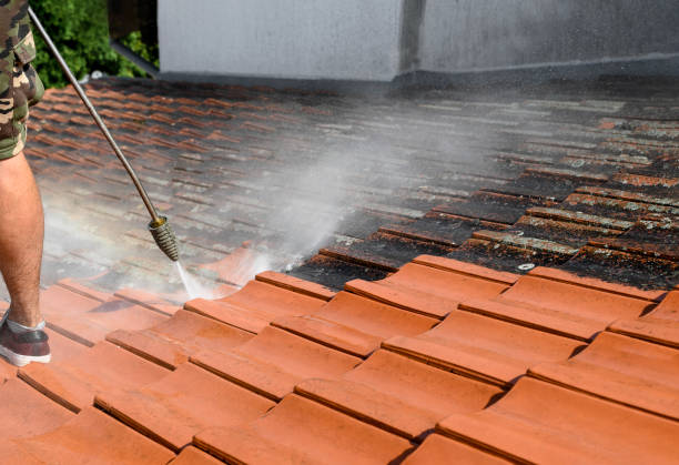Best Pressure Washing Contractors  in Milton, WI