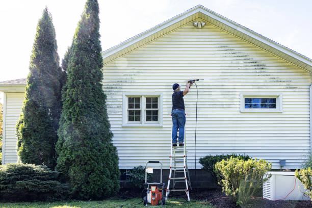 Best Deck Cleaning Services  in Milton, WI