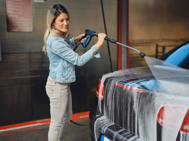 Best Roof Pressure Washing  in Milton, WI